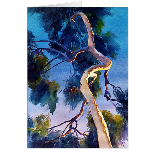 "輝やきの" (正面)