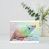 輝やき! ポストカード (スタンド正面)