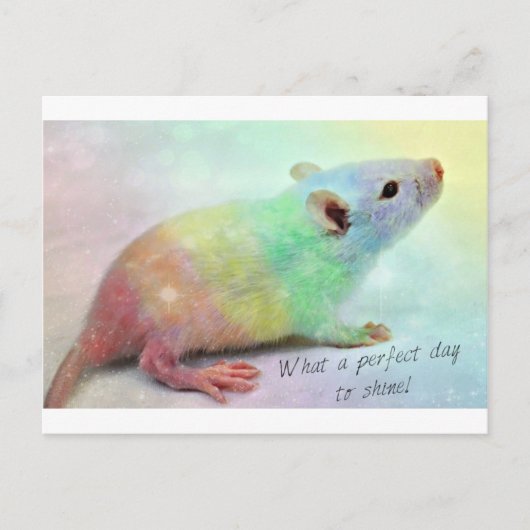 輝やき! ポストカード (正面)