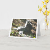 輪尾れい猿 カード (黄色い花)