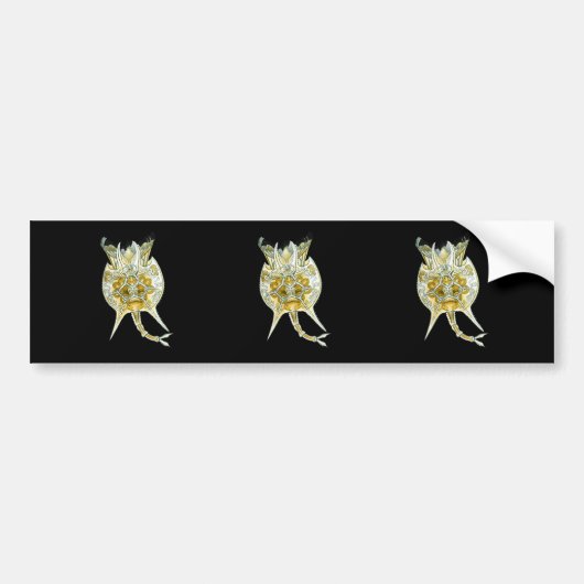 輪形動物 バンパーステッカー (正面)