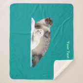 輪状シール シェルパブランケット (正面)