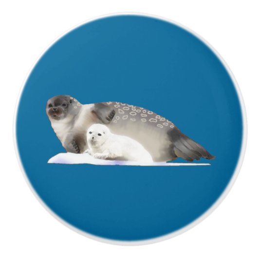 輪状シール セラミックノブ (正面)