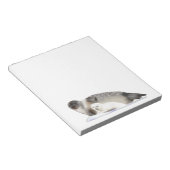 輪状シール ノートパッド (アングル)