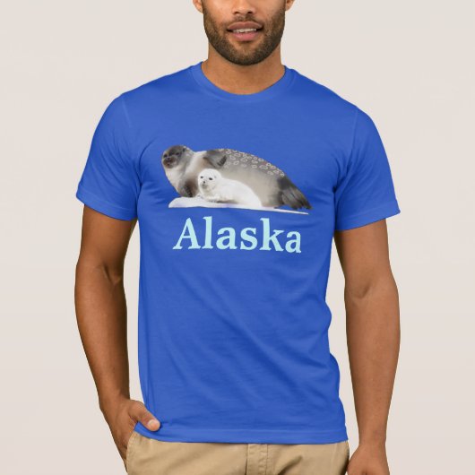 輪状シール Tシャツ (正面)