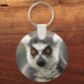 輪状尾 キーホルダー (正面)