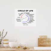 輪（輪状の系統樹） ポスター (キッチン)