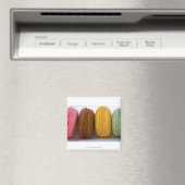 輸入グルメフランスのマカロン（マカロン） マグネット (インサイチュ (食洗機))