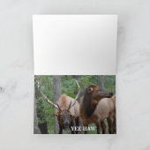 轍の休日のBullのおもしろいで幸せなオオシカ シーズンカード (内部)