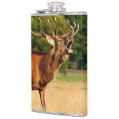 轍のBullのオオシカ フラスク (左)