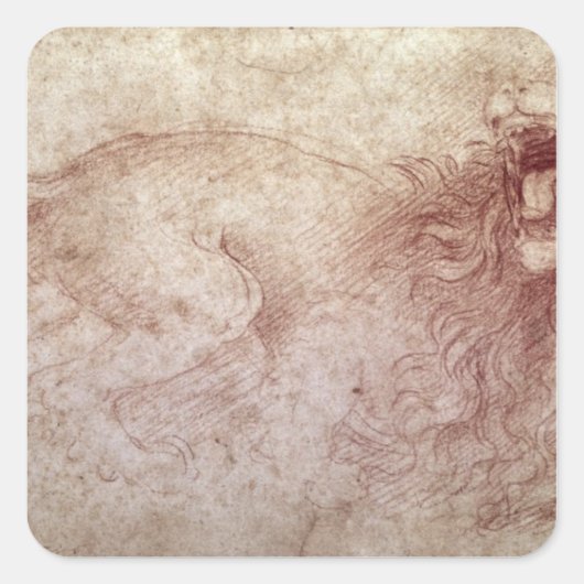 轟音を上げる獅子のスケッチ スクエアシール (正面)