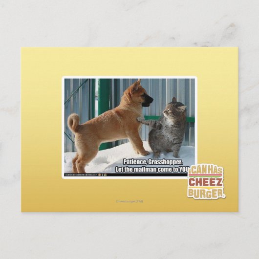 辛抱だよ、グラスパー。 ポストカード (正面)