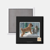 辛抱だよ、グラスパー。 マグネット (正面/裏面)