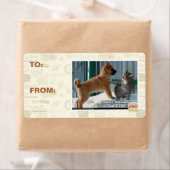 辛抱だよ、グラスパー。 ラベル (インサイチュ)