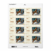 辛抱だよ、グラスパー。 ラベル (フルシート)