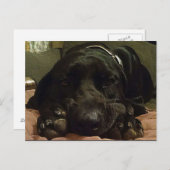 辛抱強く待っている ポストカード (正面/裏面)