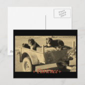 辛抱強く待つ ポストカード (正面/裏面)