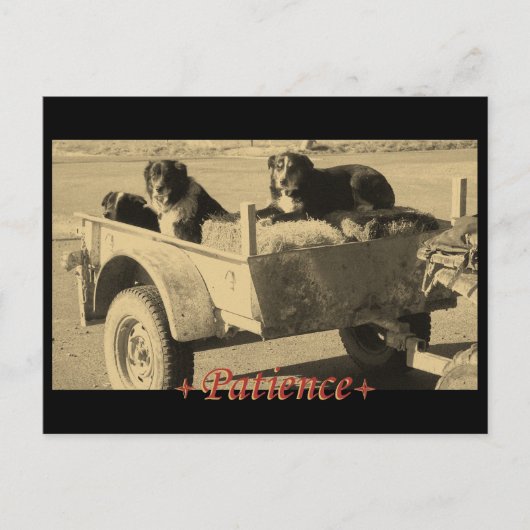 辛抱強く待つ ポストカード (正面)