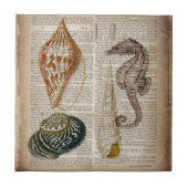 辞書プリントフランスのビーチ貝 タイル (正面)