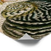 辞書プリントフランスの国ヴィンテージ貝殻 ポスター (角)