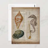 辞書プリントフランスの国ヴィンテージ貝殻 ポストカード (正面/裏面)