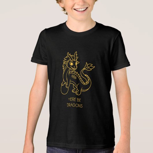 辰年 中国の干支 トライブレンドTシャツ (正面)