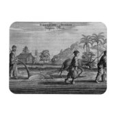 農中国の人、社説 マグネット (横)