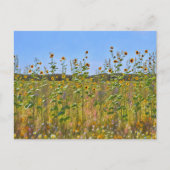 農園かわいらし塀の花はがきに咲くヒマワリ ポストカード (正面)