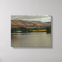 農地で砂漠を流れる美しい川