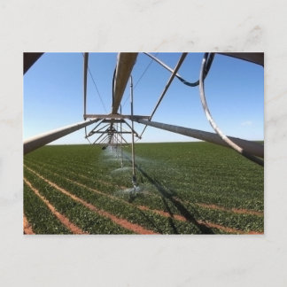農地の郵便はがき ポストカード