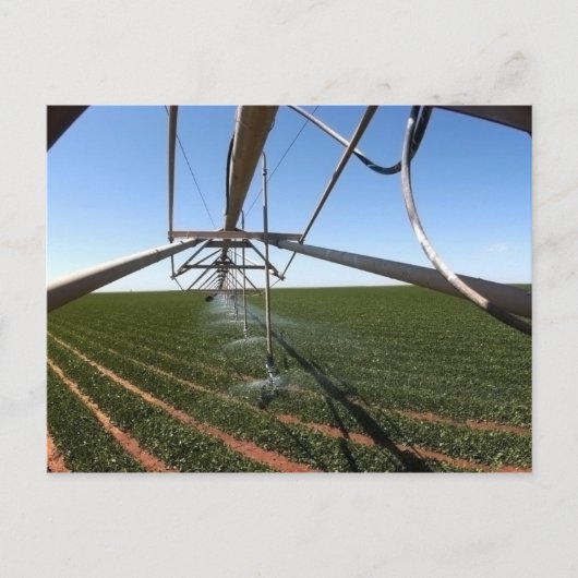農地の郵便はがき ポストカード (正面)