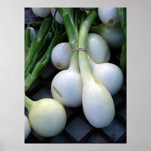 農場から出たばかりだ ポスター (正面)