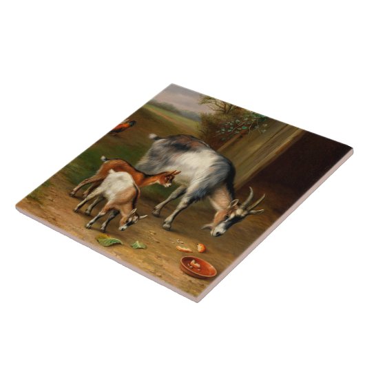 農場では、ヤギと鶏 タイル (側面)