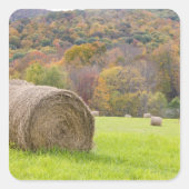 農場では、干し草の葉や秋の葉が茂っていた。 スクエアシール (正面)