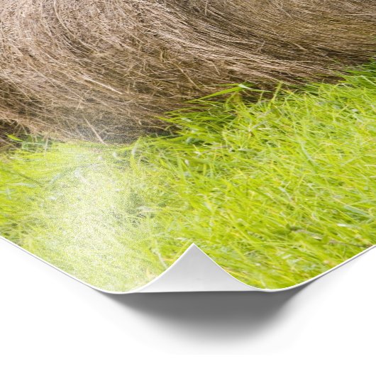 農場では、干し草の葉や秋の葉が茂っていた。 フォトプリント (角)