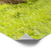 農場では、干し草の葉や秋の葉が茂っていた。 ポスター (角)