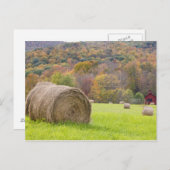 農場では、干し草の葉や秋の葉が茂っていた。 ポストカード (正面/裏面)