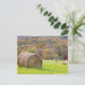 農場では、干し草の葉や秋の葉が茂っていた。 ポストカード (スタンド正面)