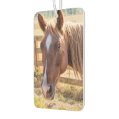 農場で日光に当たる馬の写真 カーエアーフレッシュナー (左)