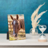 農場で日光に当たる馬の写真 フォトプラーク (側面)