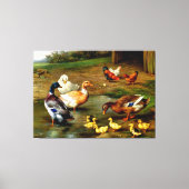 農場で鶏、アヒル、アヒル キャンバスプリント (正面)