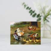 農場で鶏、アヒル、アヒル ポストカード (スタンド正面)