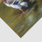 農場で鶏、アヒル、アヒル 薄葉紙 (詳細)