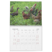 農場で カレンダー (2月 2026)