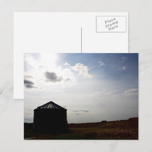 農場で… ポストカード (正面/裏面)
