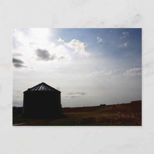 農場で… ポストカード (正面)