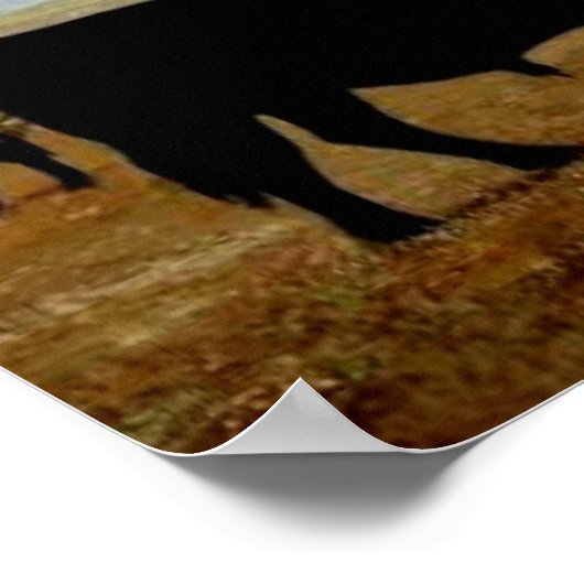 農場のアンガス牛 ポスター (角)