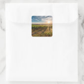 農場のステッカーにサンセット スクエアシール (バッグ)