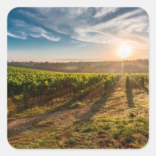 農場のステッカーにサンセット スクエアシール (正面)