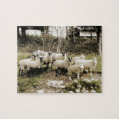 農場のモデル ジグソーパズル (横)